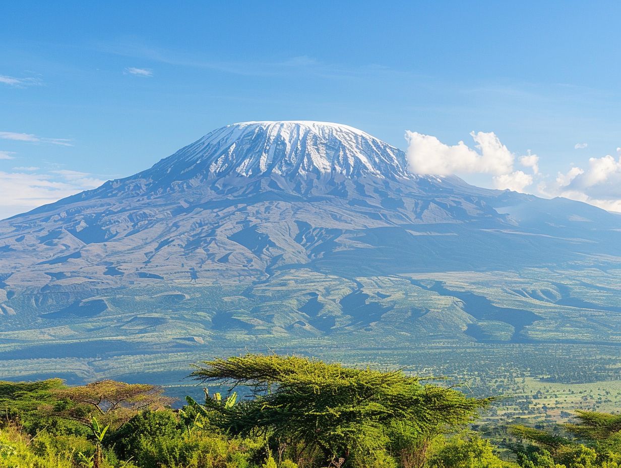 What is the Climate Like on Mount Kilimanjaro?